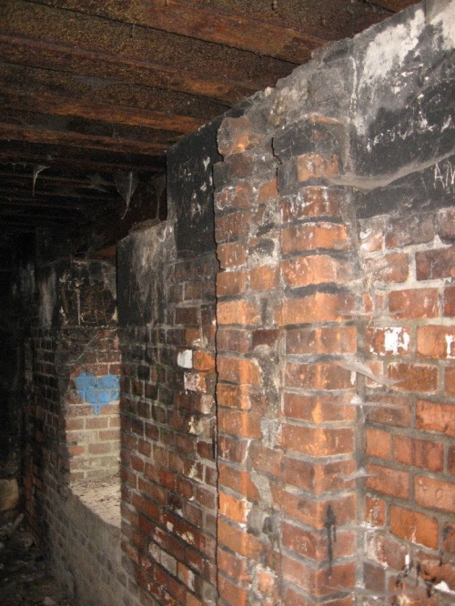 Ściana bunkra przy wejściu #bunkier #TwierdzaKraków