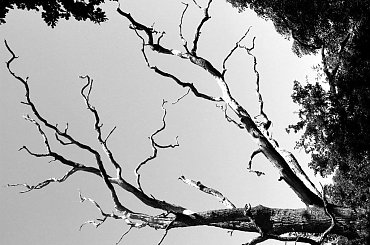 #Krajobraz #widok #woda #GrahamWater #drzewo