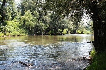 #Woda #widok #wisłok