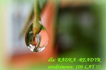Z okazji Urodzin życzę: dużo szczęścia,
radości, spełnienia marzeń i 100 LAT w zdrowiu !!! #deszcz #jesień #kropla #urodziny #życzenia