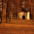 pozdrowienia ze spaceru ... Park Krajoznawczy, Góra św. Anny ...