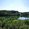 Jezioro turkusowe w Wapnicy #jezioro #wapnica #wakacje #woda #drzewa