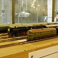 foto Krzysztof Olech (prawdziwe)