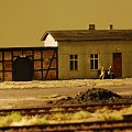 foto Krzysztof Olech (prawdziwe)