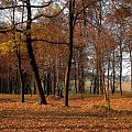 wyjeżdżam na kilka dni i nie wiem, czy będę miała dostęp do neta ... pozdrawiam i życzę pięknej pogody ... :))