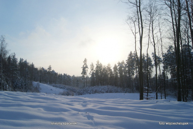 spacerkiem po śniegu