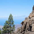 Roque Nublo-Widok Na Tenerife