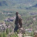 Roque Nublo