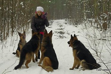 #Gildo #OwczarekNiemiecki #Parys #Saba #Tobi #WiernyDruh