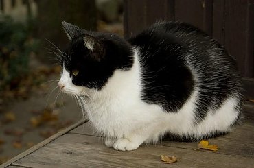 ruiny zamku książąt mazowieckich w Czersku #Czersk #ZamekWCzersku