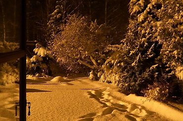 ... nad ranem #grudzień #ogród #przyroda #zima