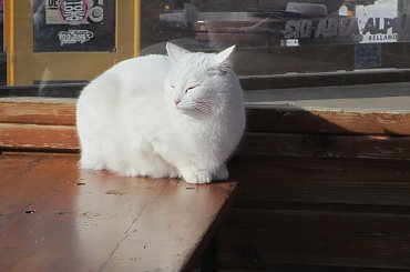 Val di Fiemme #Dolomity #ValDiFiemme