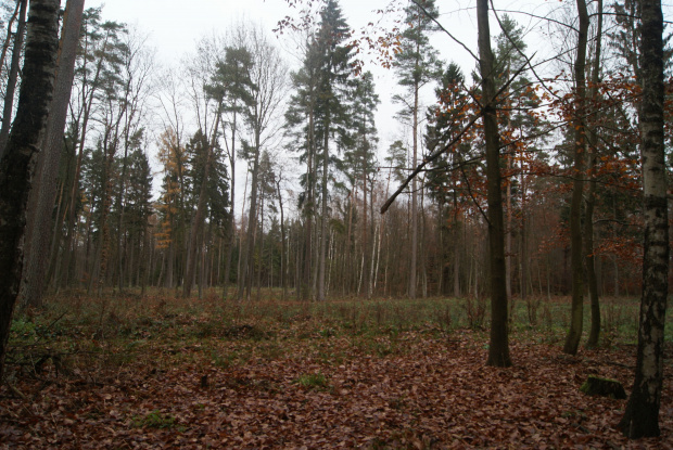 wspomnienia