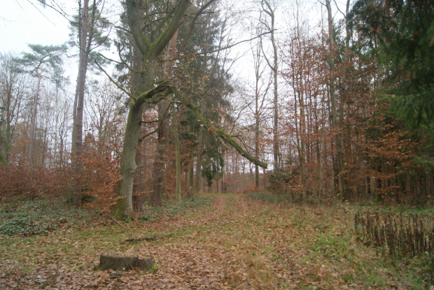 wspomnienia