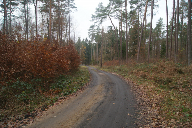 wspomnienia