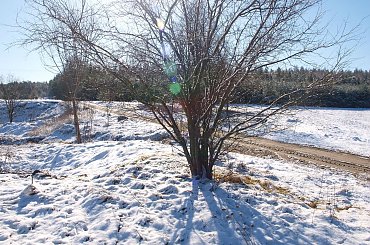 ziman na Mazurach #krajobraz #Mazury #śnieg #widok #zima