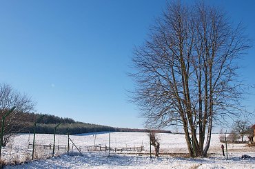 ziman na Mazurach #krajobraz #Mazury #śnieg #widok #zima
