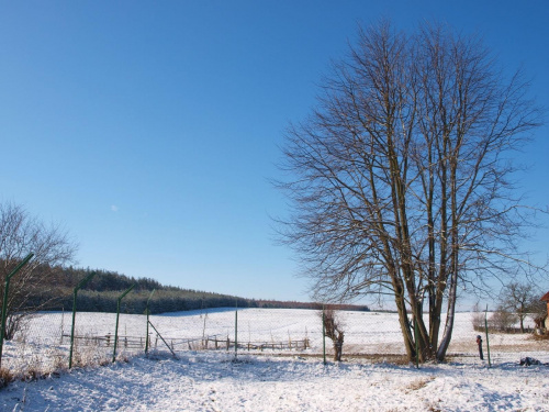 ziman na Mazurach #krajobraz #Mazury #śnieg #widok #zima