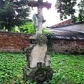 Sandomierz - cmentarz katedralny