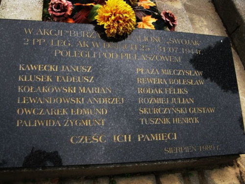 Sandomierz-cmentarz katedralny