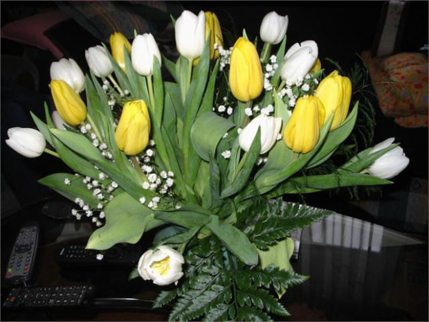 01.02.2013