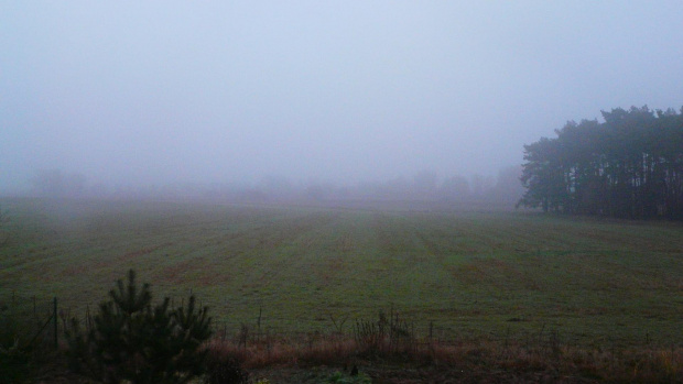 Jesienne mgły. #krajibraz