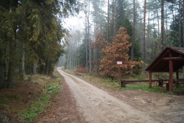 parking leśny trasa Kartuzy-Słupsk