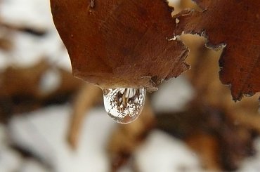 dzisiejsza kropelka #kropelki