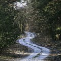 Wiem już raz było ale tym razem w kolorku i z dodatkiem śnieżku :)