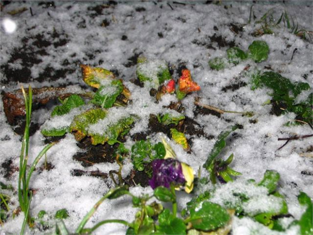 06.02.2013