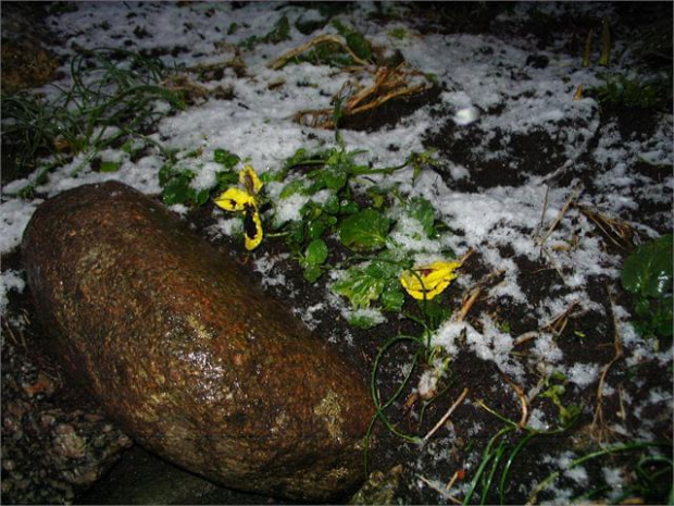 06.02.2013