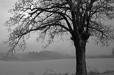 ŚWIĘTOKRZYSKIE #świętokrzyskie