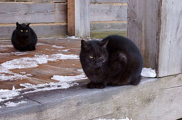 skansen #świętokrzyskie