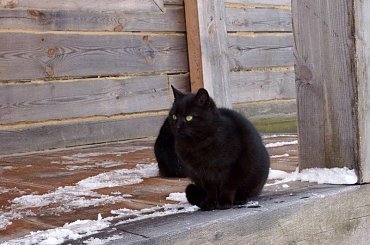 skansen #świętokrzyskie