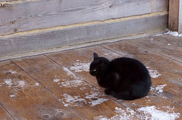 skansen #świętokrzyskie