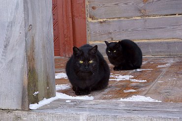 skansen #świętokrzyskie