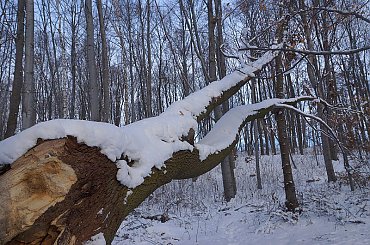 KIELCE #KIELCE #ŚWIĘTOKRZYSKIE