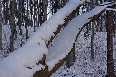 KIELCE #KIELCE #ŚWIĘTOKRZYSKIE