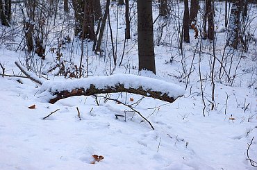 KIELCE #KIELCE #ŚWIĘTOKRZYSKIE