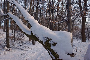 KIELCE #KIELCE #ŚWIĘTOKRZYSKIE