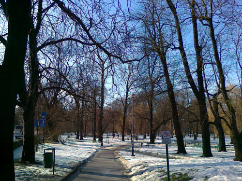 Niebieskie niebo nad Parkiem Krakowskim
