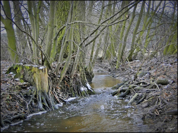 Spacerkiem po najbliższej okolicy :)