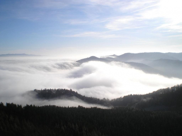 Mgła przelewająca się do doliny Lipnika #góry #pieniny #wysoka
