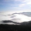 Mgła przelewająca się do doliny Lipnika #góry #pieniny #wysoka