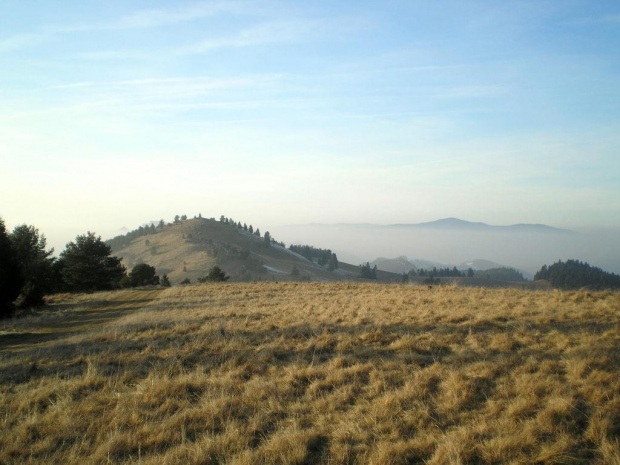 Wysoki Wierch i Lubań spod Durbaszki #góry #pieniny #wysoka