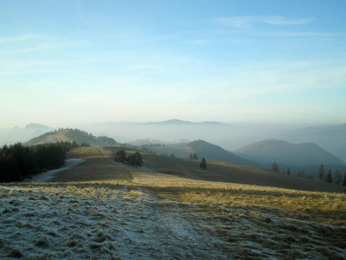 Wysoki Wierch i Jarmuta oraz Lubań spod Durbaszki #góry #pieniny #wysoka