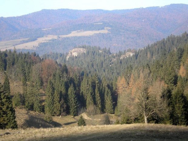 Wąwóz Homole z polany Pod Wysoką #góry #pieniny #wysoka