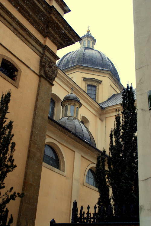 Katedra Św. Anny w Krakowie - widok z boku