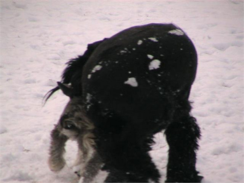 21.02.2013