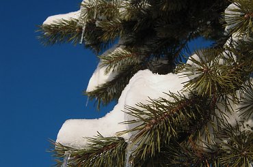 #lód #Lublin #mróz #śnieg #Zima